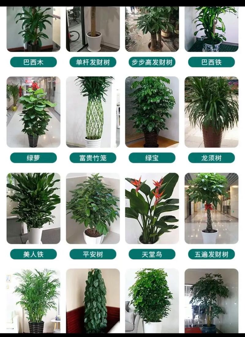 如何构建理想的企业花艺团队？