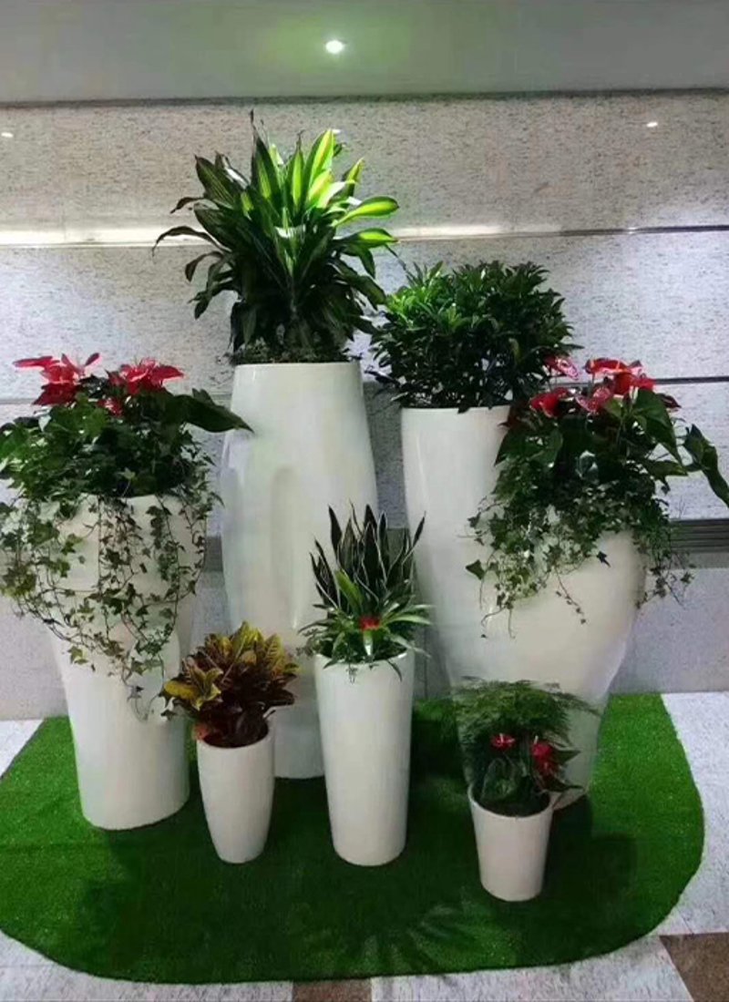 盆栽租赁